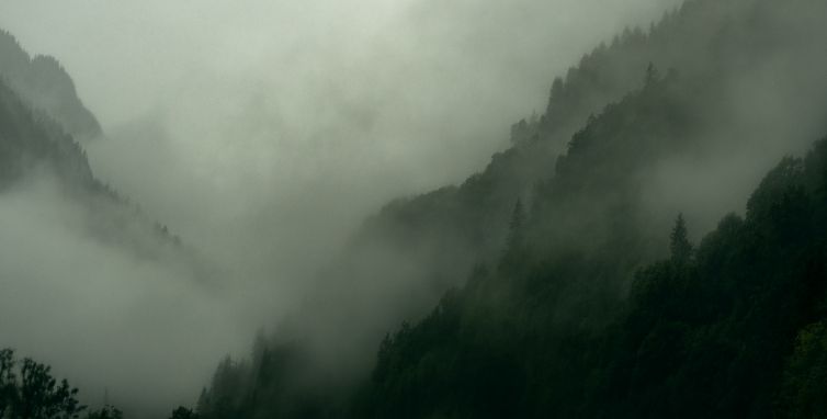 Forest-Clouds-MartinaDittrich