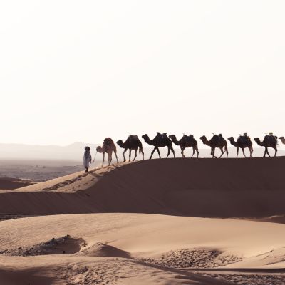Marocco