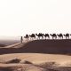 Travel